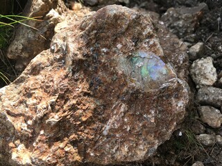 Iridescent mica in mountain rock