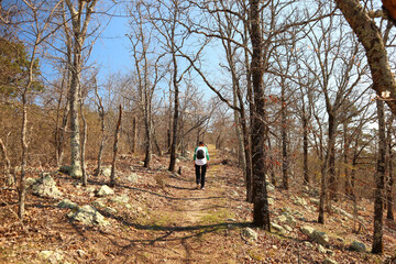Female hiker on a trail in the woods 