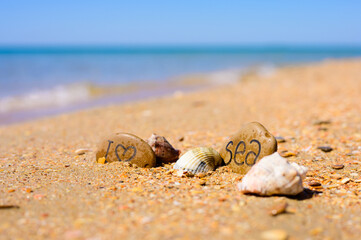 Fototapeta na wymiar Pebbles with the inscription I love the sea on the beach by the sea. Several shells lie near the pebbles. Sea travel concept.