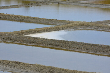 marais salants de l'ile de Ré