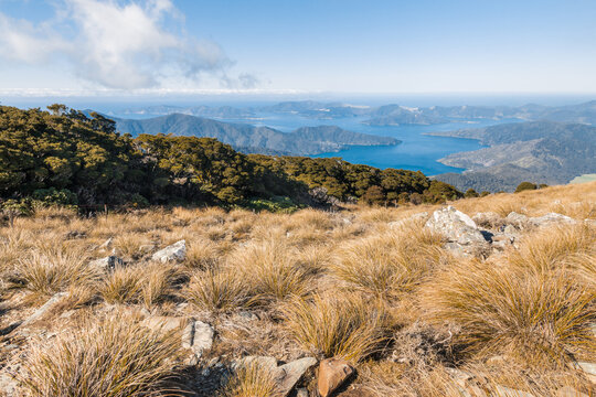 Marlborough Sounds panorama from Mount Stokes hiking track in New Zealand