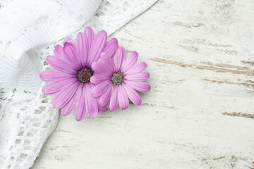 Pink flowers on a rusticale background. Bright layout for card.