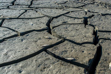 Dry lake