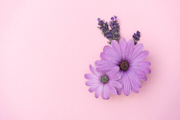 Pink flowers on a pink background. Monochrome mock up for a postcard.