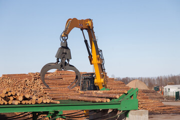 Claw of an industrial loader of logs at a sawmill