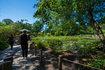 Fototapeta premium Wroclaw Poland 05 August 2020; Japanese Garden in the city of Wroclaw, the historic capital of Lower Silesia.