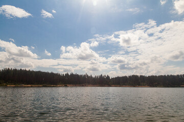 Landscape with lake in pine forest