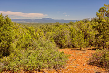 Fototapeta na wymiar Bill Williams Mountain Viewed from Forest Road 573 AZ