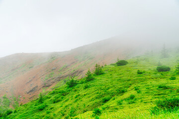 【志賀草津高原道路】霧中の山岳風景