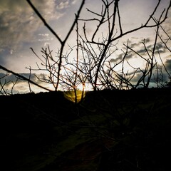 sunset behind barbed wire