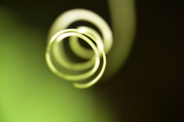 Vine of bitter gourd
