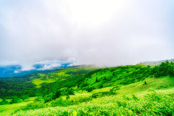 【志賀草津高原道路】霧中の山岳風景