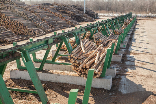 Conveyor for sorting logs at a sawmill