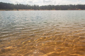 Landscape with lake in pine forest