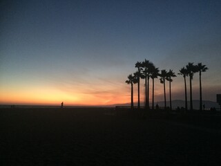 Tricolor sunset and palm tree silhouettes