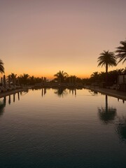 Reflective lounge pool lined with palm trees at sunset
