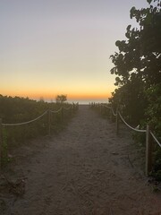 Sandy walkway leading to tricolor beach sunset