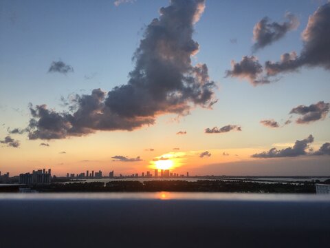 Rooftop Pool Lounge Lined With Palm Trees At Sunset