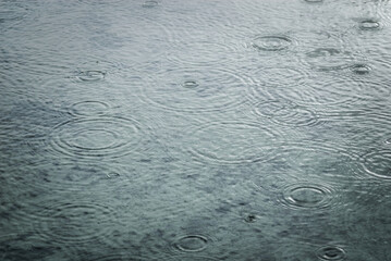 水たまり　雨　波紋　素材