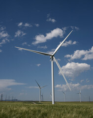 Green energy from windmills produced on a wind farm in Pincher Creek Alberta Canada.