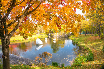 紅葉に囲まれる札幌芸術の森の池