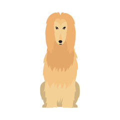 cute collie dog icon, flat style