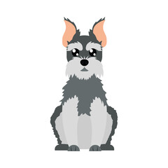 cartoon schnauzer dog icon, flat style