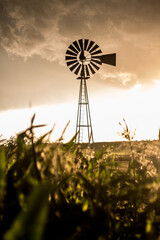 windmill in the sunset