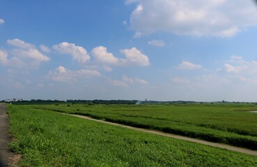 青空　さわやか　渡良瀬　風景　栃木