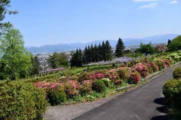 5月の山形 寒河江つつじ公園 蔵王連峰
