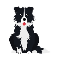 border collie dog icon, flat style