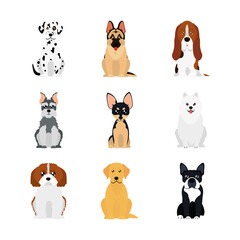 cartoon dalmatian dog and dogs icon set, flat style