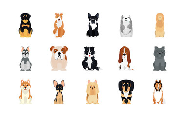 cartoon schnauzer and dogs icon set, flat style