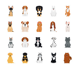 icon set of pinscher and dogs, flat style