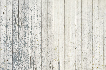 Portrait of wooden wall as abstract background
