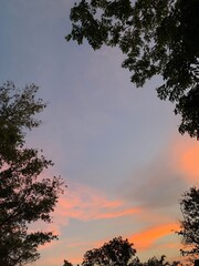 High angle view of evening sky with tree