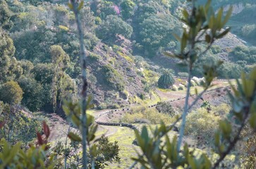 Los Angeles canyon running down to Pacific Ocean