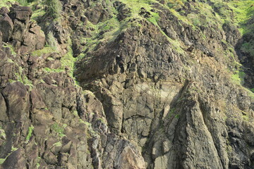 Danao beach resort rock formation and green grass plants