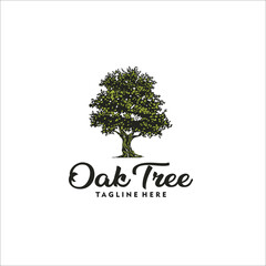 Obraz premium oak tree logo design template silhouette vector