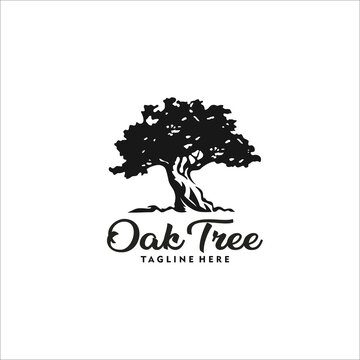 oak tree logo design template silhouette vector