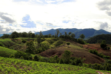 Naklejka premium mountain landscape with blue sky