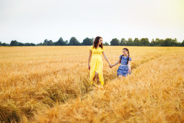 Naklejka na ściany i meble Happy family: a young beautiful pregnant woman with her little cute daughter walking in the wheat orange field on a sunny summer day. Parents and kids relationship. Nature in the country.