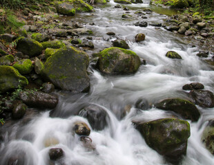 Fototapeta premium river and a small waterfall in the forest in Costa Rica