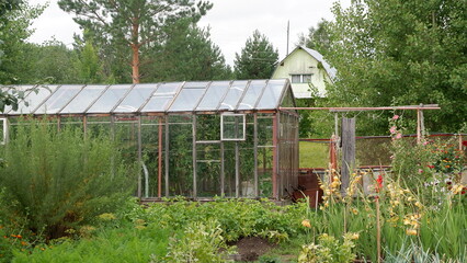 greenhouse in the garden 