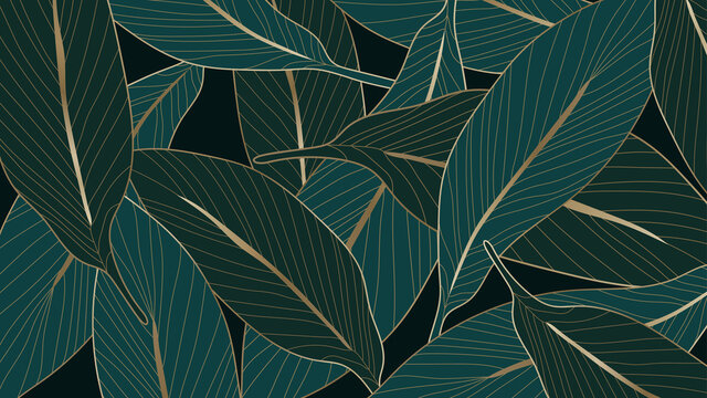 Luxury gold and nature green background vector. Floral pattern, Calathea lutea,Tropical foliage,Exotic tropical leaf, Calathea leaf  line arts, Vector illustration.