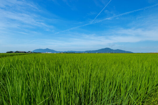 87 最適な 新潟平野 画像、ストック写真、ベクター Adobe Stock
