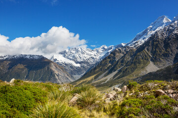 Fototapeta premium New Zealand mountains