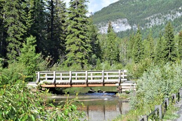 bridge over the river