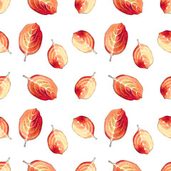 Seamless pattern with red leaves on white background Hand draw illustration.