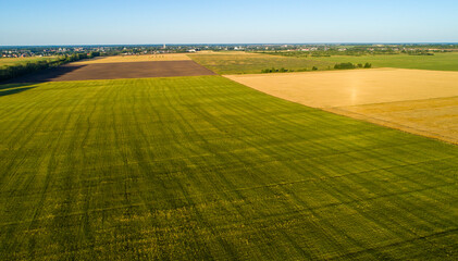 rural landscape in the netherlands